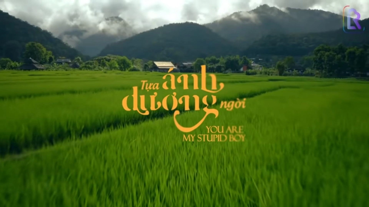 Tựa Ánh Dương Ngời (You Are My Stupid Boy)